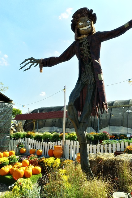 Free Scarecrow Spooky photo and picture