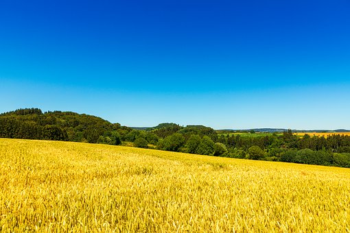 Free Europe Panorama photo and picture
