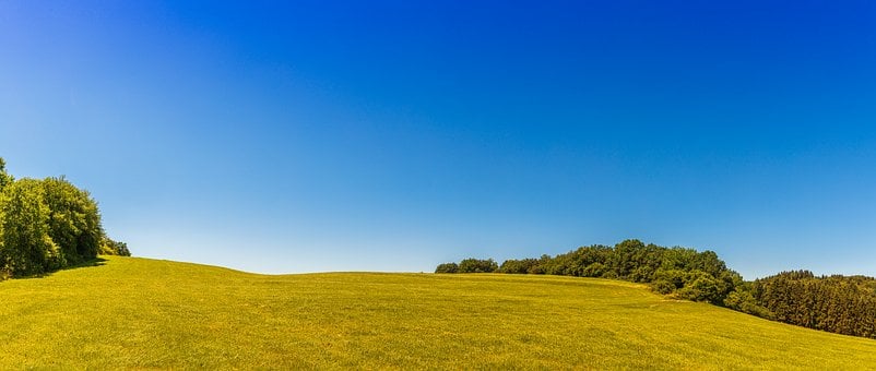 Free Meadow Fields photo and picture