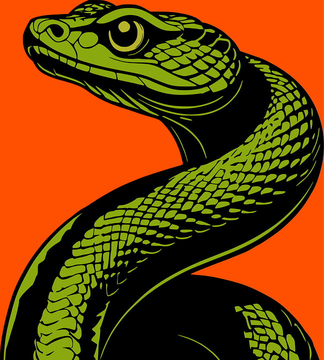 Download Snake, Reptile, Animal. Royalty-Free Vector Graphic - Pixabay