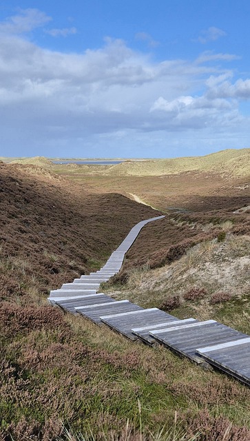 Free Path Direction photo and picture