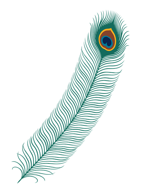 Caneta, Pavão, Pássaro, Natureza, Animal