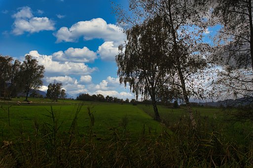 Landschaft, Berge, Natur, Wald, Siehe