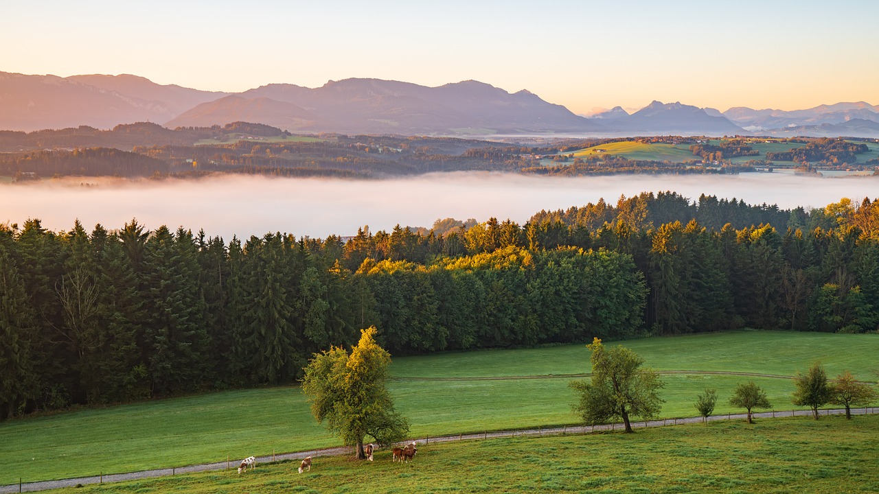 Sunrise Autumn Landscape Fog - Free photo on Pixabay