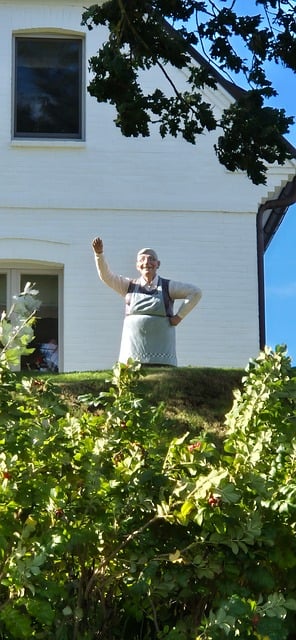Free Sylt Bye photo and picture