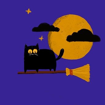 Katze, Tier, Niedlich, Kätzchen, Hexe