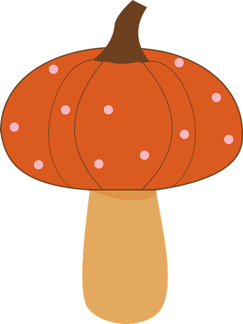 Free Nature Pumpkin vector and picture