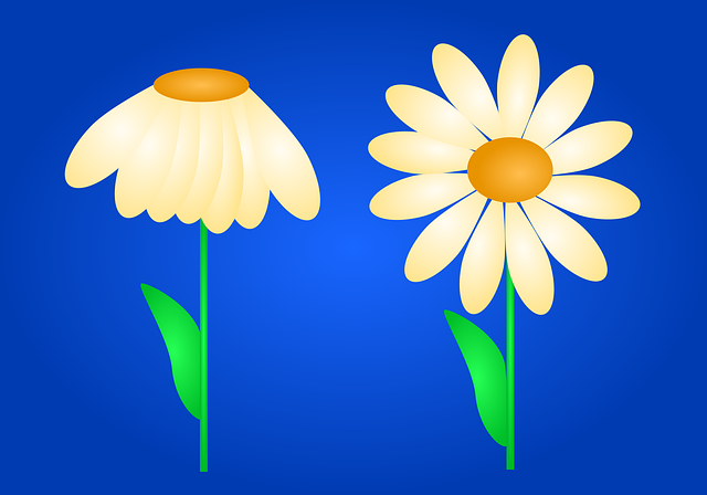 Free copy space happy mothers day daisy vector