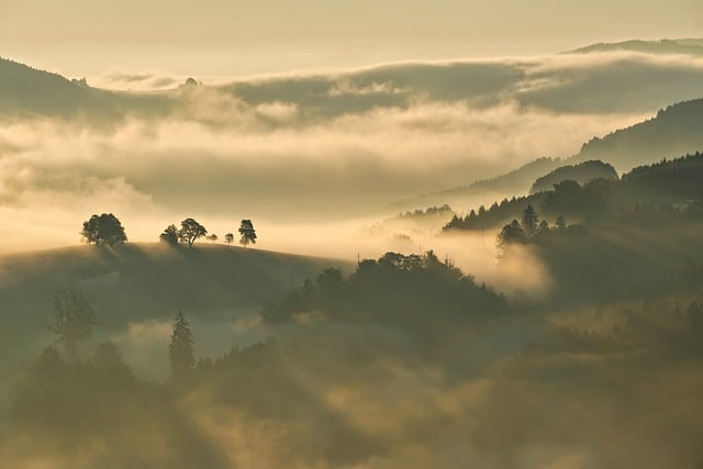 Natureza, Panorama, Foto De Outono, Cair