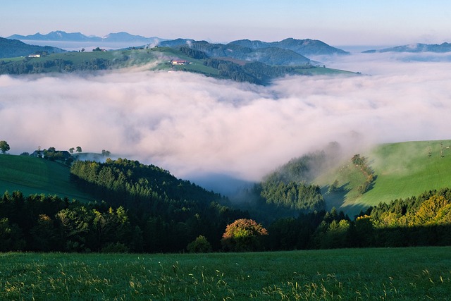 Natureza, Panorama, Cair, Foto De Outono