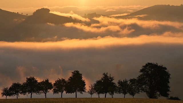 Natureza, Panorama, Cair, Foto De Outono