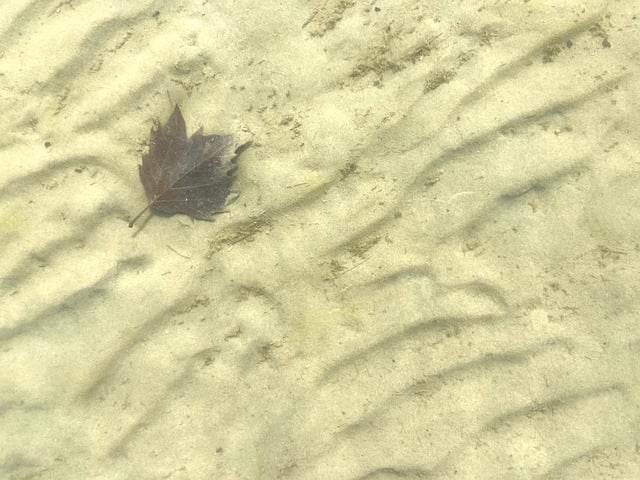 Free Beach Sand photo and picture