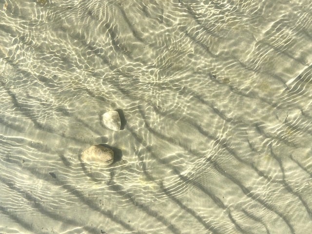 Free Beach Sand photo and picture