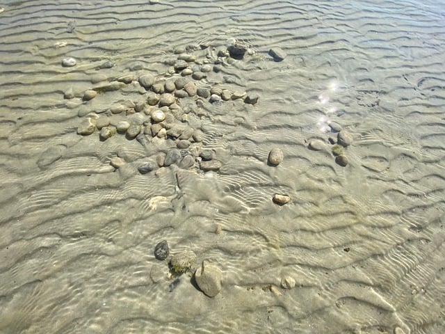 Free Beach Gravel photo and picture