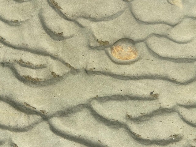 Free Sand Beach photo and picture