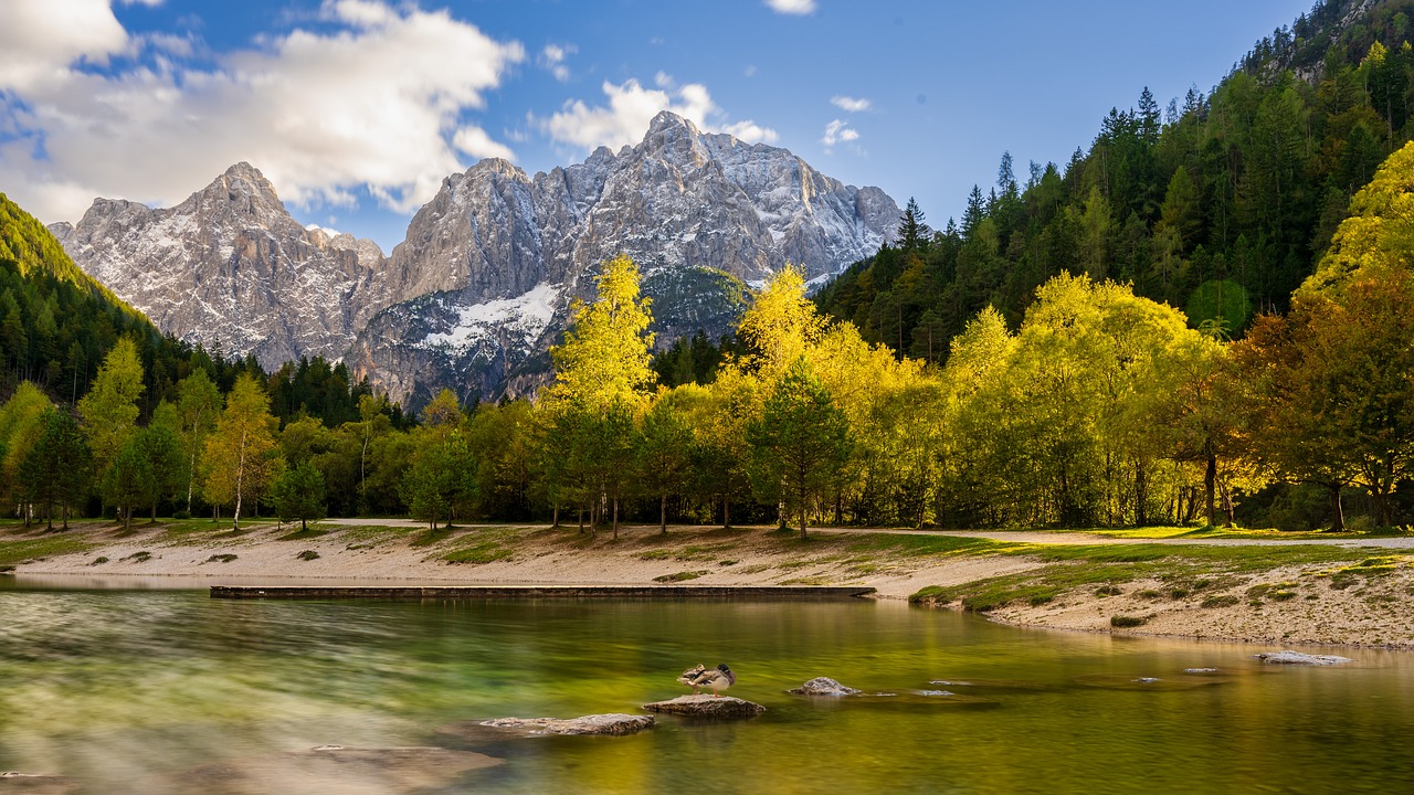 Fall - free online jigsaw puzzle photo