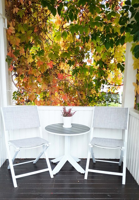 Free Autumn Fall photo and picture