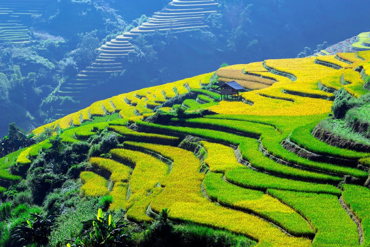 Vietnam - free online jigsaw puzzle photo