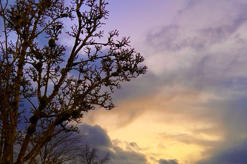 Himmel, Solnedgang, Drama, Træ, Lunefuld