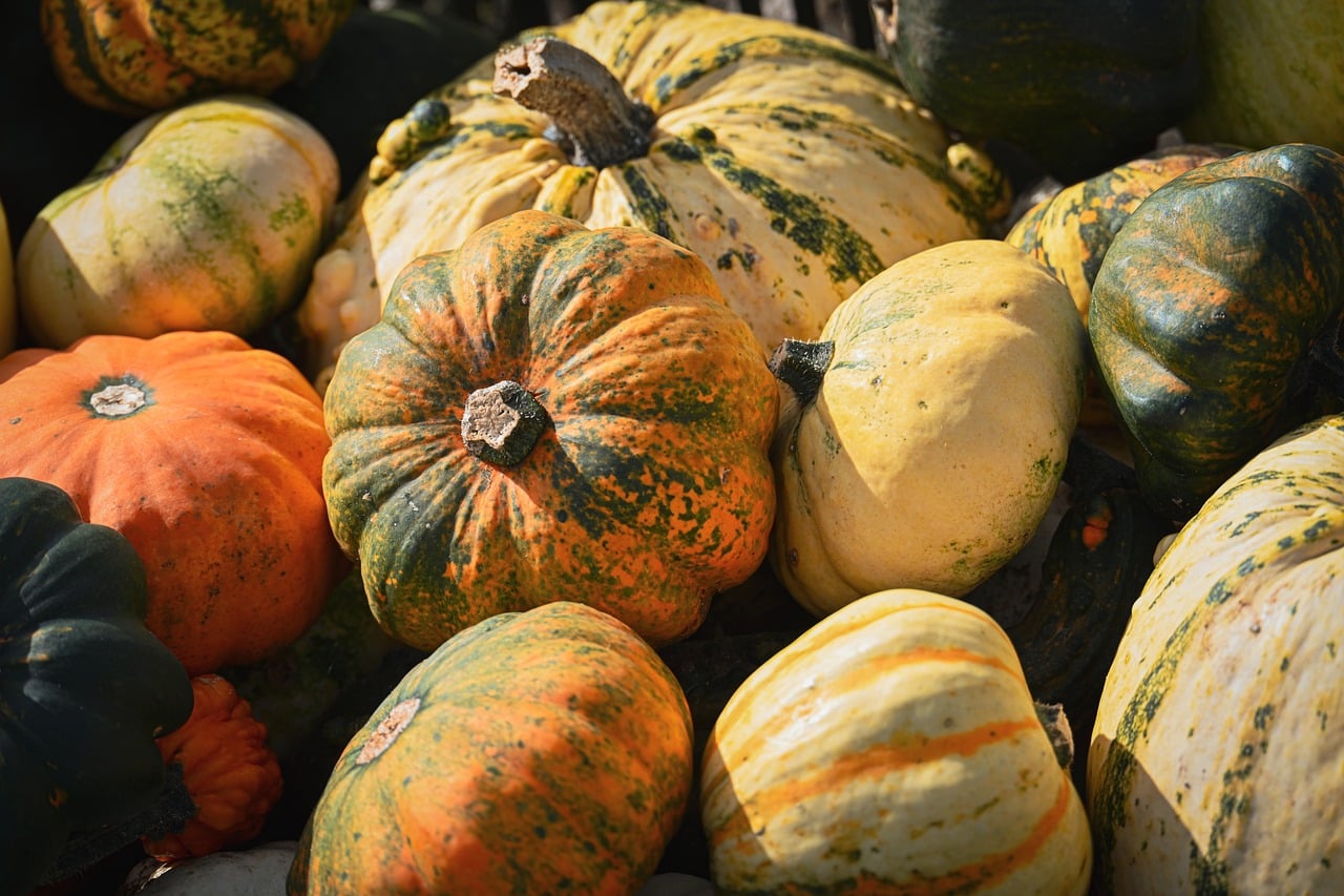 Pumpkin - free online jigsaw puzzle photo