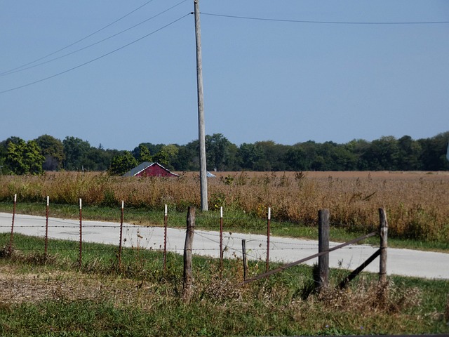 Free Barn Nature photo and picture