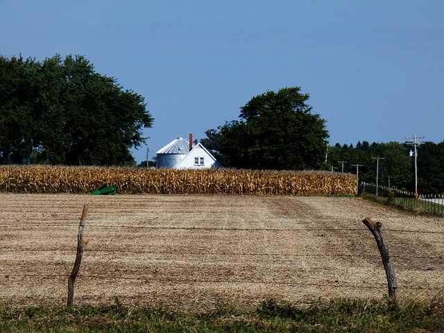 Free Farm Nature photo and picture