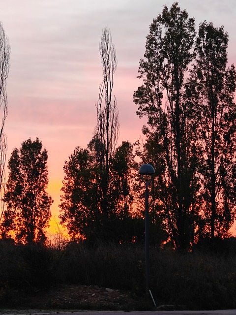 Free Sunset Nature photo and picture