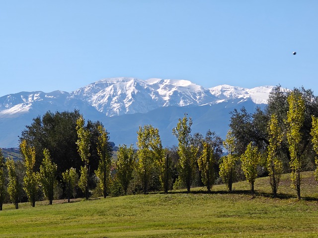 Free Landscape Nature photo and picture