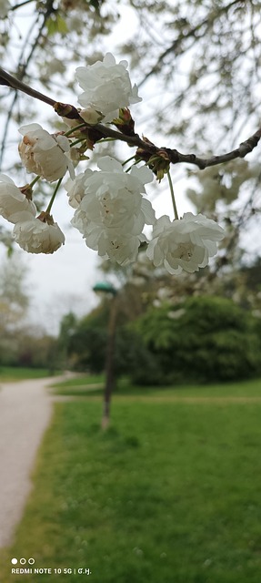 Free Landscape Nature photo and picture