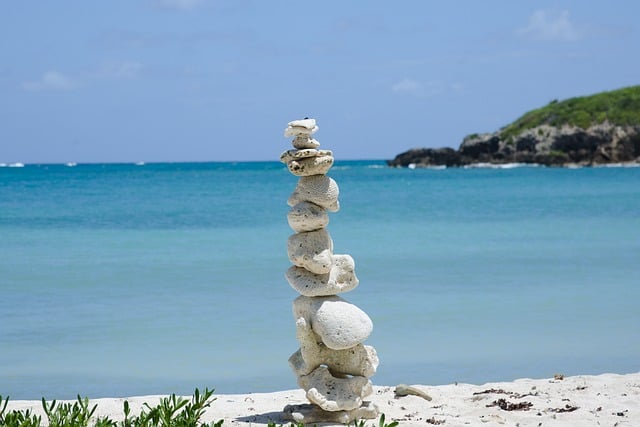Free Beach Coral Stack photo and picture