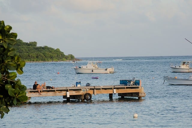 Free Dock Boats photo and picture