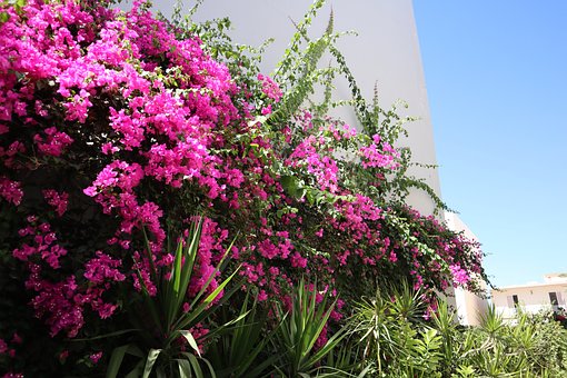Free Crete Rethymno photo and picture
