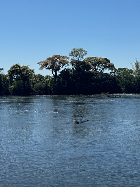 Free Argentina Iguazu photo and picture