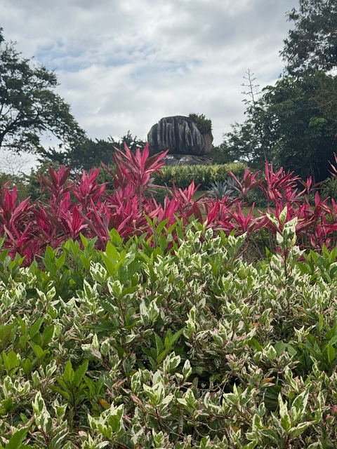 Free Onion Rock photo and picture