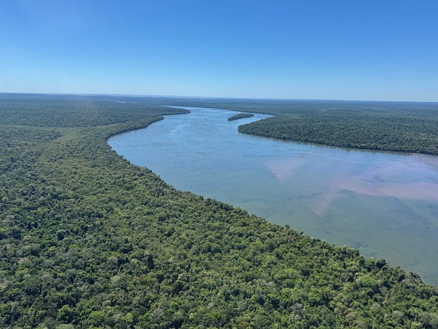 Free Brazil Nature photo and picture