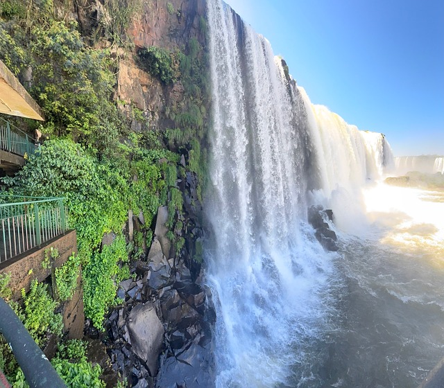 Free Iguazu Nature photo and picture