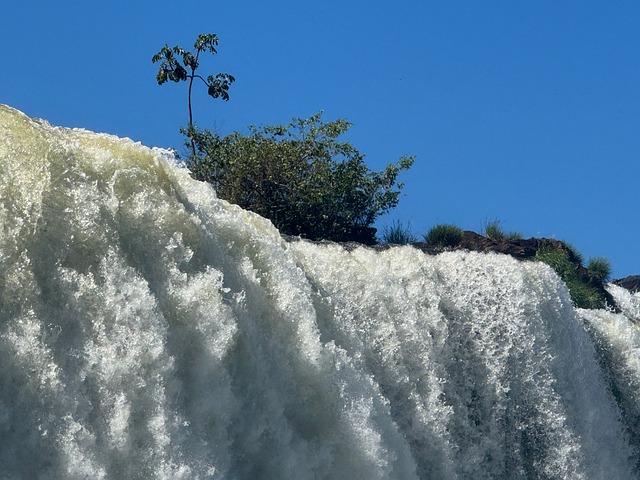 Free Waterfall Nature photo and picture