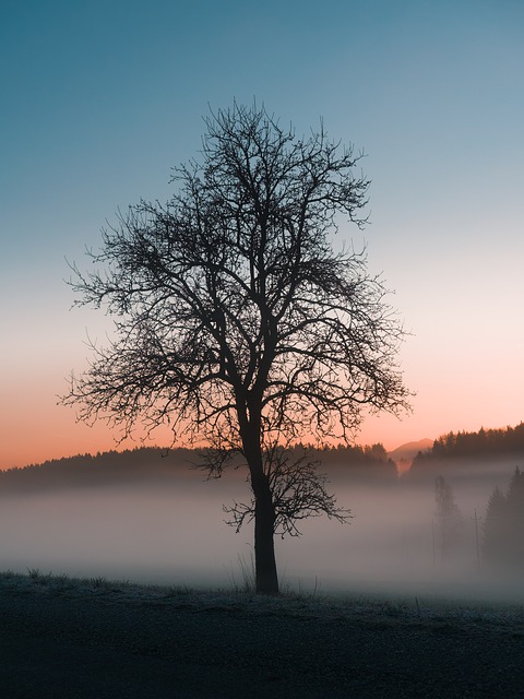 Free Landscape Naturephotography photo and picture