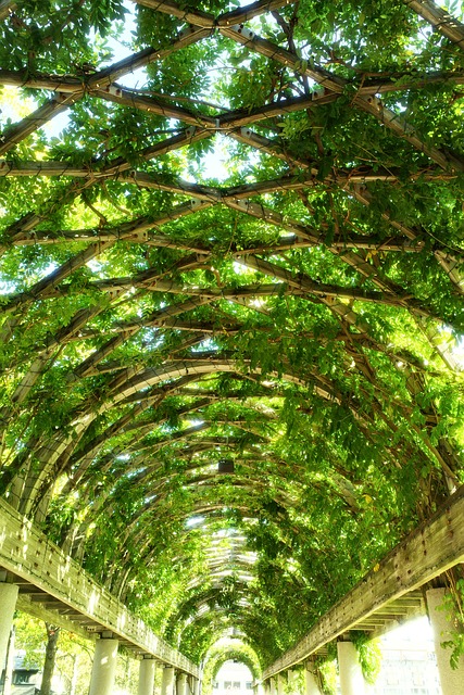 Free Arched Architecture Arched Walkway photo and picture
