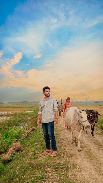 Free Bangladesh Rural photo and picture