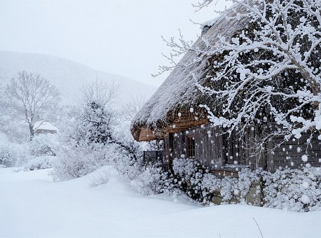 Winter, Schnee, Natur, Frost, Kalt, Baum