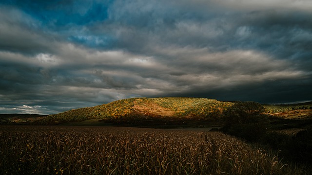 Free Autumn Nature photo and picture