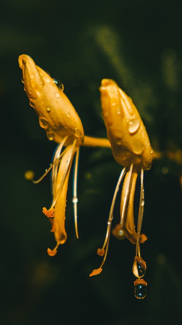 Free Nature Water photo and picture