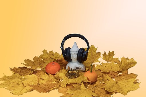 Herfst, Bladeren, De Val, Stilleven