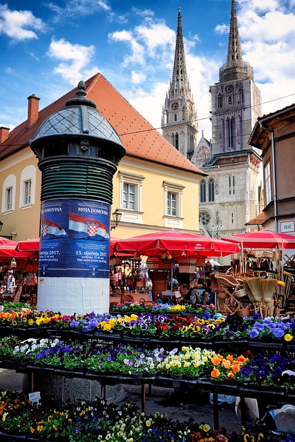 Virágok, Tavaszi, Piac, Horvátország