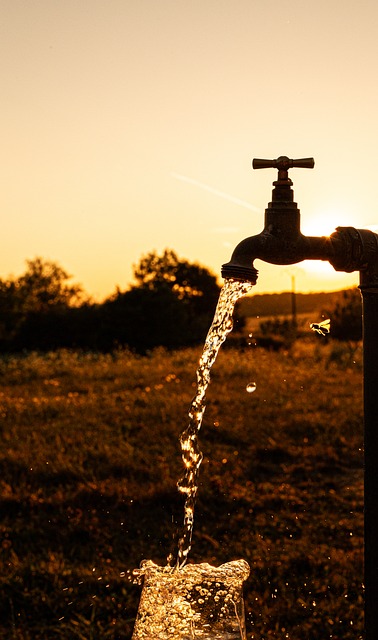 Free Faucet Water photo and picture