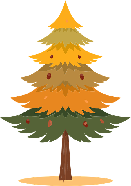 Træ, Jul, Fyrretræ, Vinter, Natur, Skov