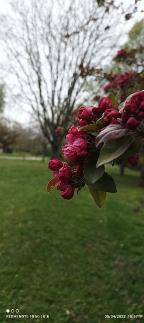 Free Paysage Nature photo and picture