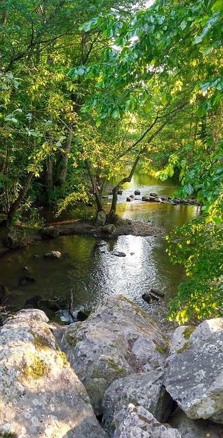 Free Nature Landscape photo and picture