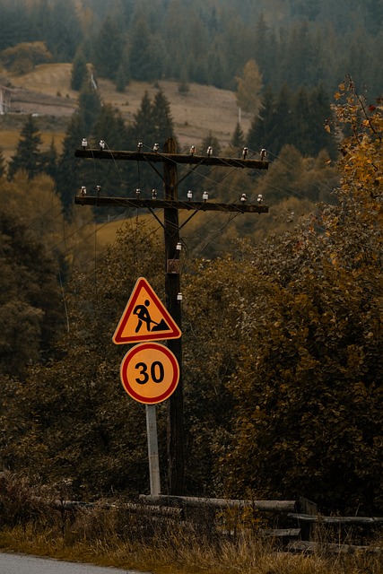 Naturaleza, Bosque, Paisaje, Árbol